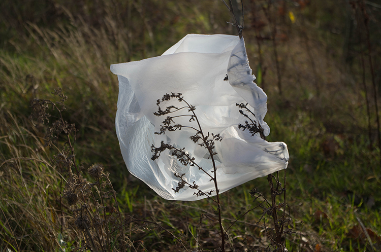 Photo of a plastic bag as trash for the Sierra Club Rio Grande Chapter website