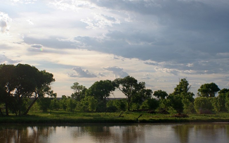 Upcoming bosque and river events Albuquerque bosque