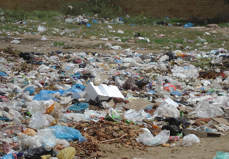 Photo of plastic bags as trash for the Sierra Club Rio Grande Chapter website