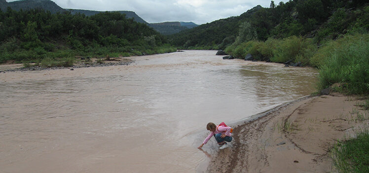 New Mexico needs water reform Photo of the Rio Grande River for Sierra Club Rio Grande Chapter website