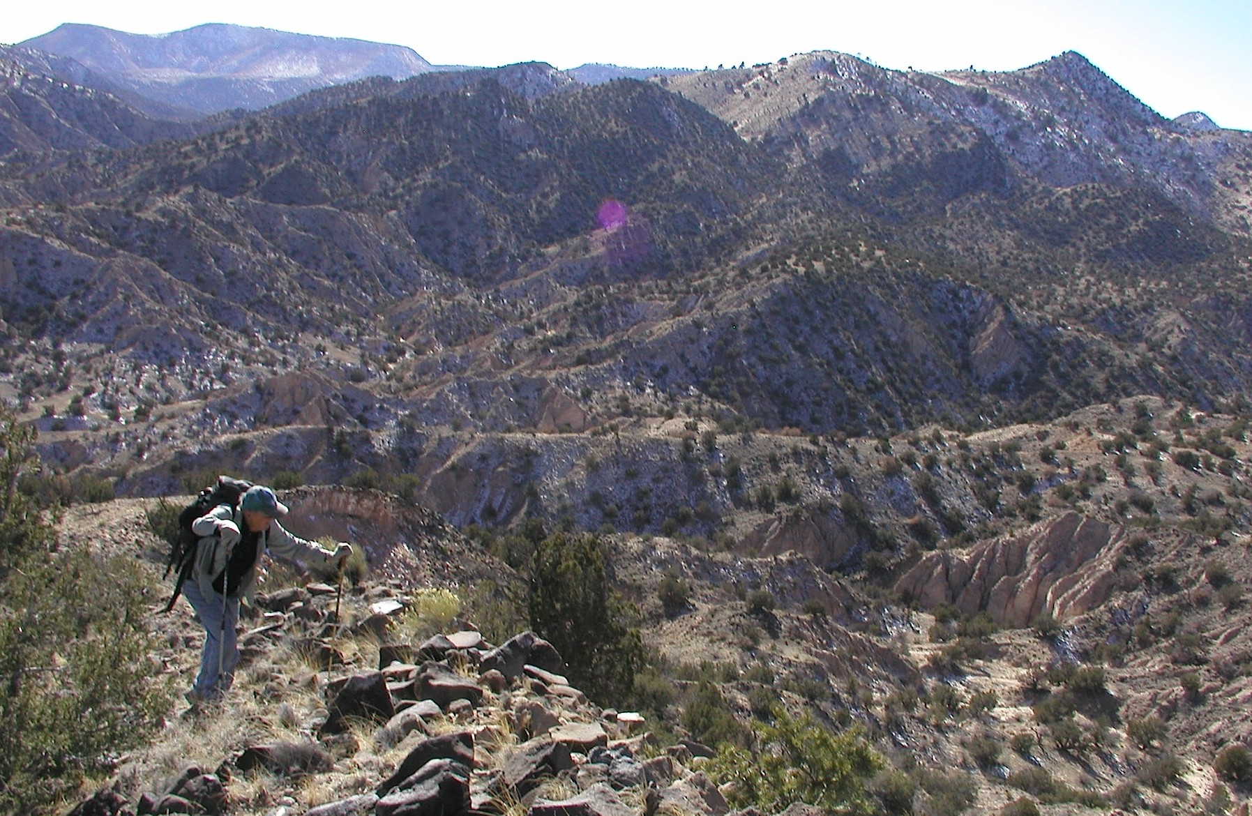 This weekend: Bosque walks, Ghost Ranch hikes and more This weekend: Bosque walks, Ghost Ranch hikes and more