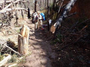 photo of trail work in Bandelier