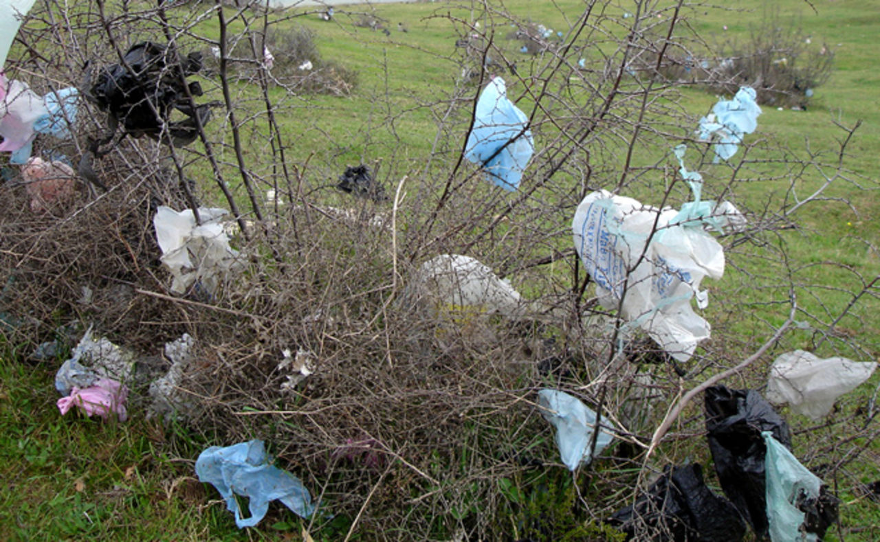 Photo of plastic bag litter