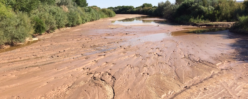 Rio Grande 101