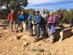 Outings reports: May 2016-January 2017