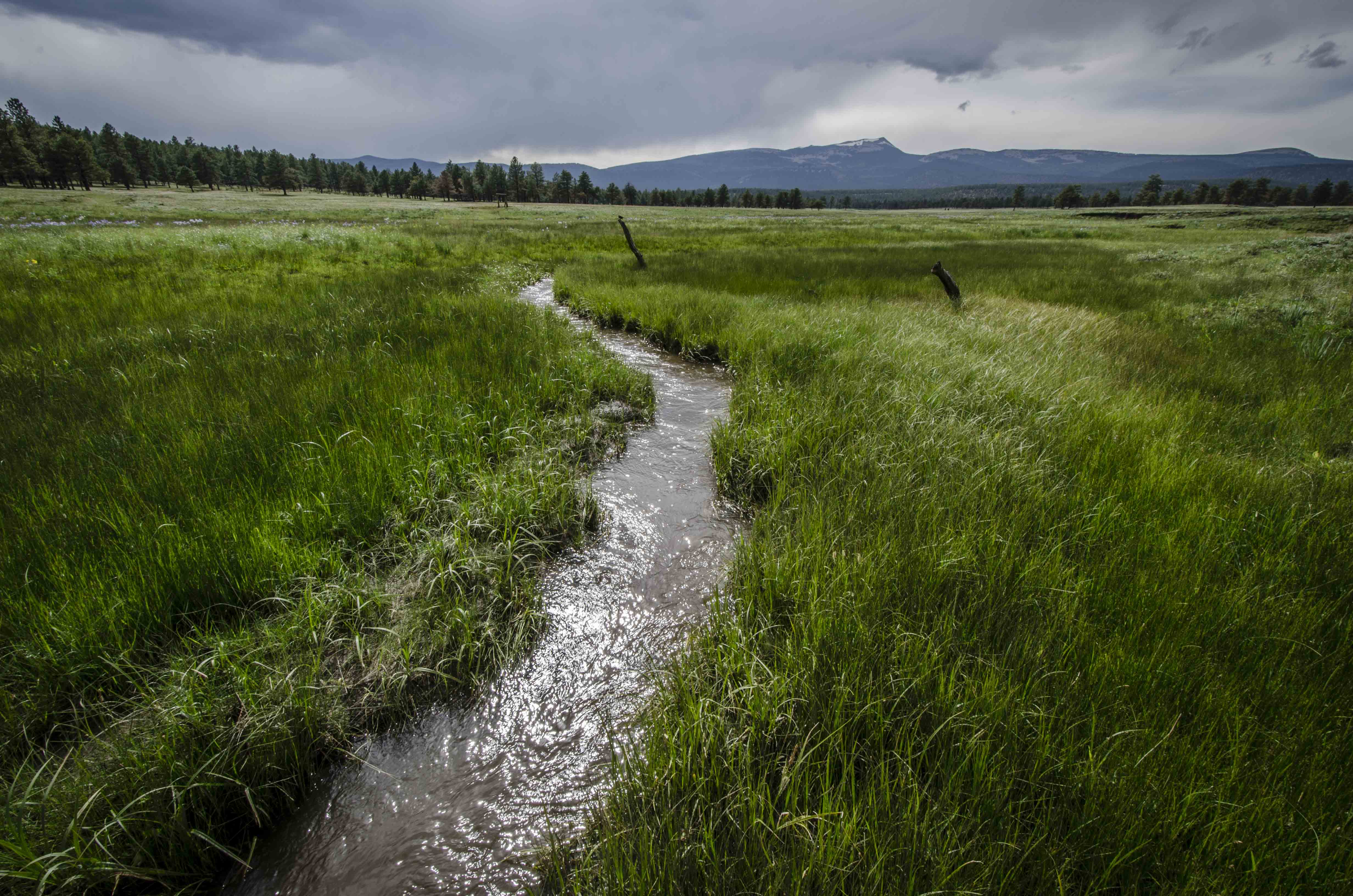 Dirty-Water Move by Trump Administration Threatens New Mexico Waters Dirty-Water Move by Trump Administration Threatens New Mexico Waters