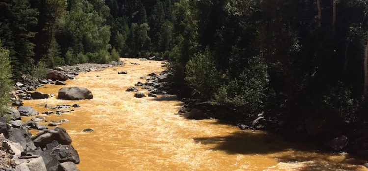 Animas levels, two years later Animas levels, two years later