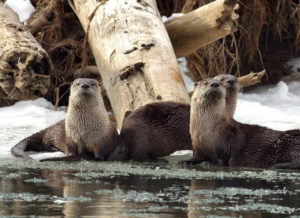 Sierra Club Fall Talk – Wednesday, September 6