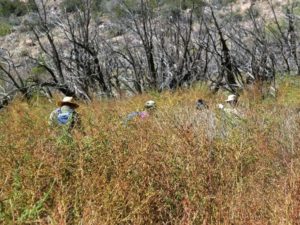 Trip report – Ancho Rapids/Frijoles hike