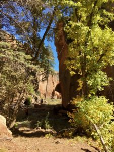 Trip report – Frijoles Loop