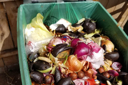 Zero Waste compost tour