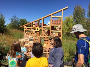 Bosquitos – thank you!