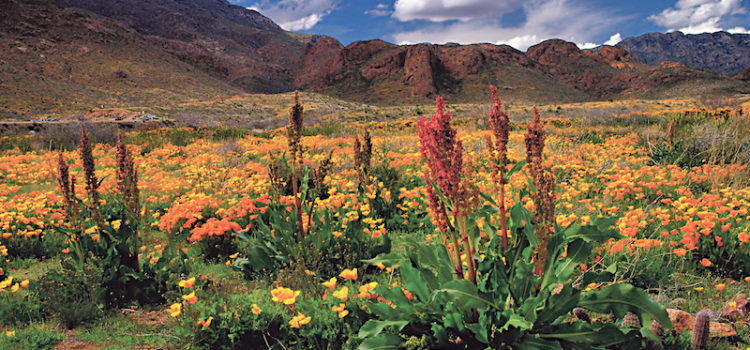 Sierra Club El Paso Group statement on Castner Range designation as National Monument