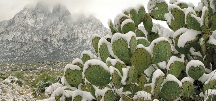 NM monuments up in air after report finally published