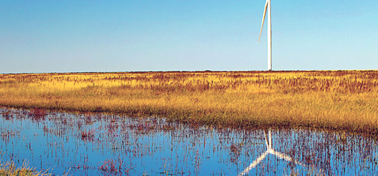 NM utility to add local jobs, 1,200 megawatts of wind NM utility to add local jobs, 1,200 megawatts of wind