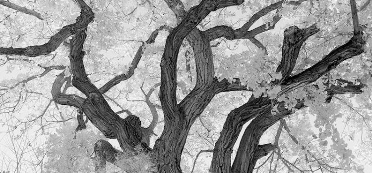 First Friday Arts – April 2018 First Friday Arts – April 2018