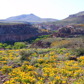 Sierra Trail Mix: Hike updates Sierra Trail Mix: Hike updates