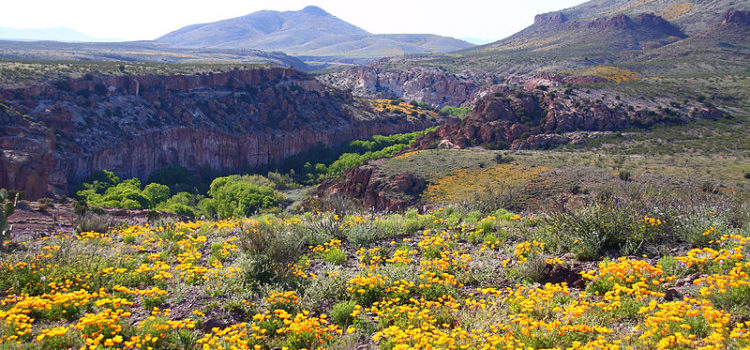 Sierra Trail Mix: Hike updates Sierra Trail Mix: Hike updates