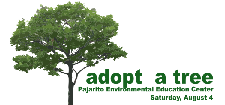Volunteers Needed to Help a Kid Hug A Tree