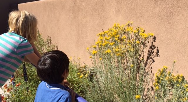 Fall 2018 Bosquitos Outings Fall 2018 Bosquitos Outings
