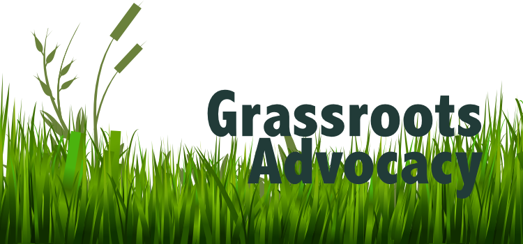 Clean Energy Conference and lobbying trainings!