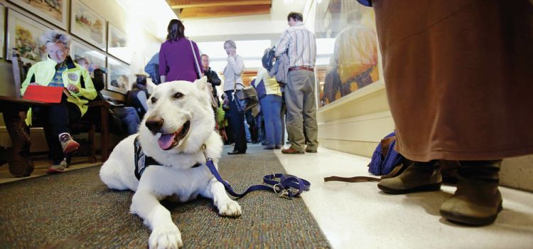 Trapping bill highlights state’s urban-rural divide Trapping bill highlights state’s urban-rural divide