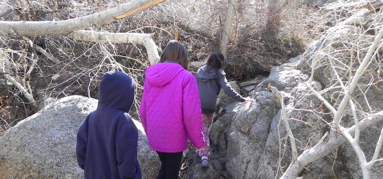 March 16 Excursiones report March 16 Excursiones report