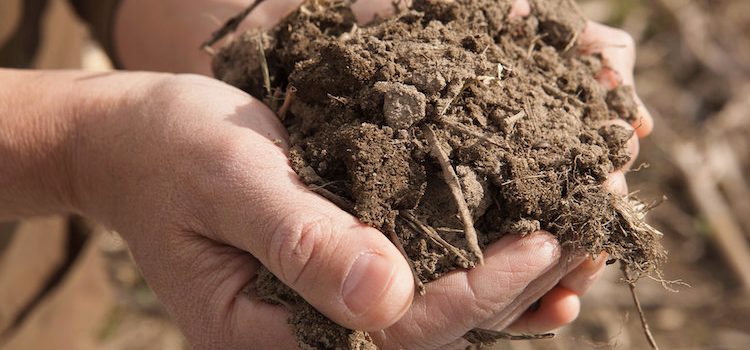 Developments around the NM Healthy Soil Act Developments around the NM Healthy Soil Act