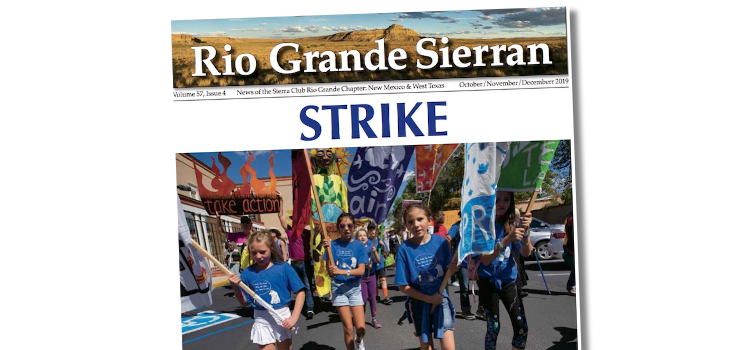 New newsletter posted! New newsletter posted!