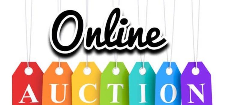 Action Auction