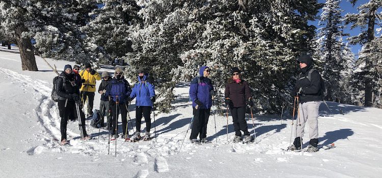 Winter 2020 Outings Winter 2020 Outings