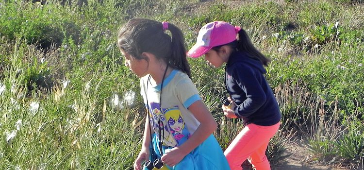 Excursiones: Creciendo en el 2019