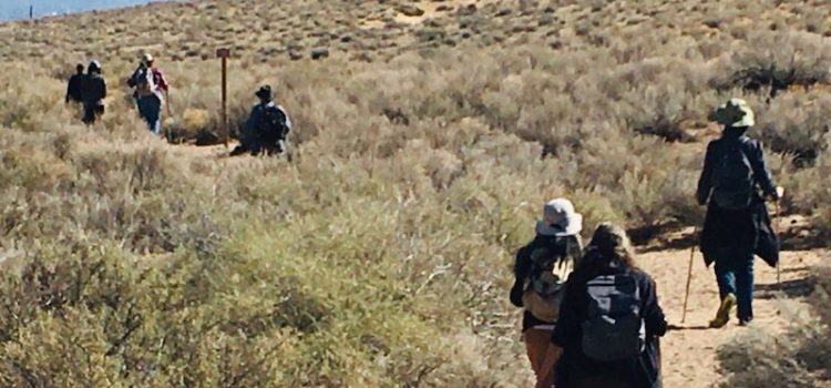 Excursiones Report – January & February 2020 Excursiones Report – January & February 2020