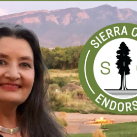 N.M. Senate District 9: Sierra Club endorses Brenda McKenna