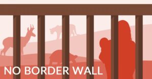 Urgent – Stop Trump's Border Wall Construction!