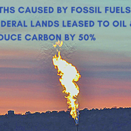 Sierra Club Rio Grande Chapter responds to court order on leasing pause Sierra Club Rio Grande Chapter responds to court order on leasing pause