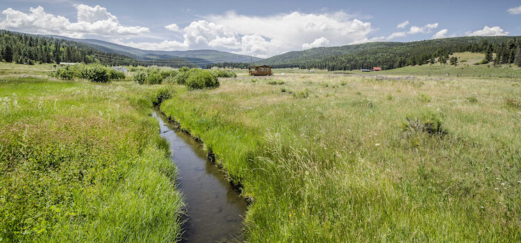 NM water needs us NM water needs us