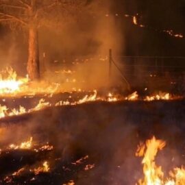 Sierra Club raises nearly $25,000 for Las Vegas Community Fund, Wildfire Victims Sierra Club raises nearly $25,000 for Las Vegas Community Fund, Wildfire Victims