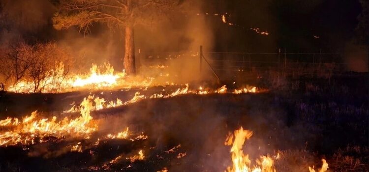 Sierra Club raises nearly $25,000 for Las Vegas Community Fund, Wildfire Victims Sierra Club raises nearly $25,000 for Las Vegas Community Fund, Wildfire Victims