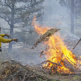 Northern megafires lead to lessons