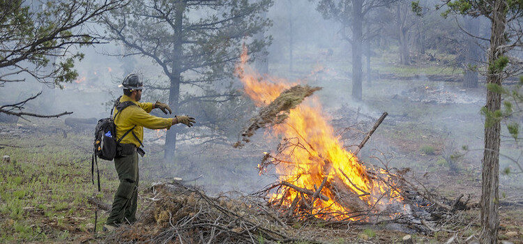 Northern megafires lead to lessons Northern megafires lead to lessons
