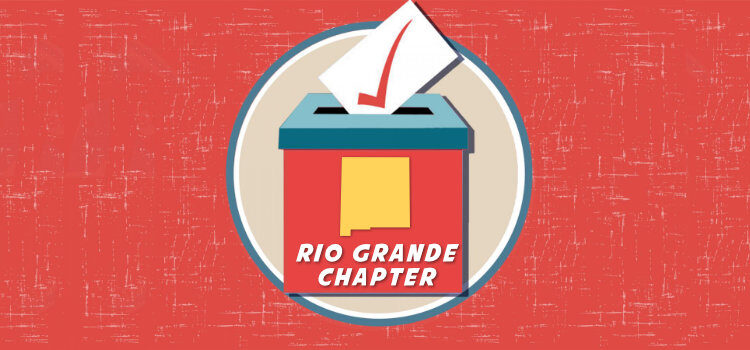 Vote for chapter & group executive committees