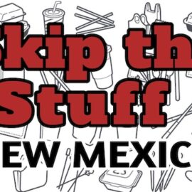 Skip the Stuff Skip the Stuff