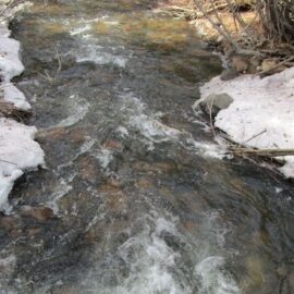 Seasonal contamination found in Upper Pecos River Seasonal contamination found in Upper Pecos River
