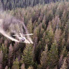 Public opposition to pesticide spraying in Rio Arriba