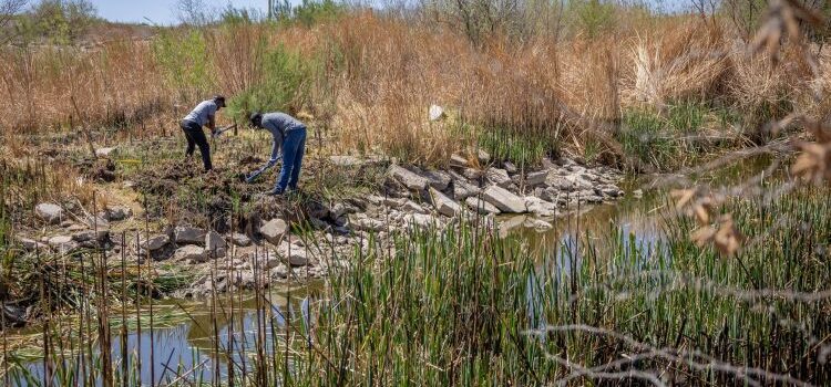 La Mancha Wetlands Restoration Project