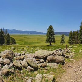 Protecting the Valles Caldera National Preserve Protecting the Valles Caldera National Preserve