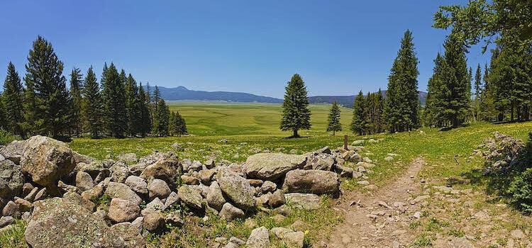 Protecting the Valles Caldera National Preserve Protecting the Valles Caldera National Preserve